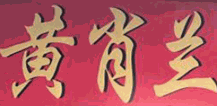 黄肖兰煲仔饭