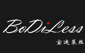 宝迪莱丝女装