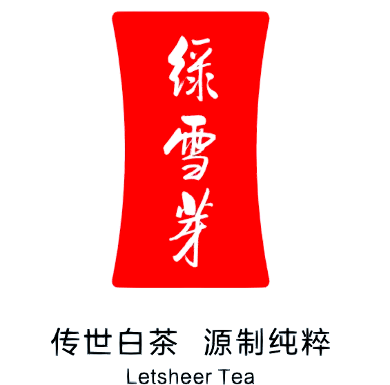 绿雪芽福鼎白茶加盟