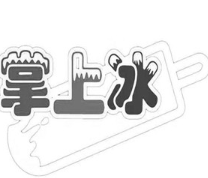 掌上冰