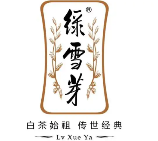 福鼎白茶绿雪芽加盟