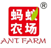 蚂蚁农场