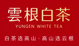 云根白茶