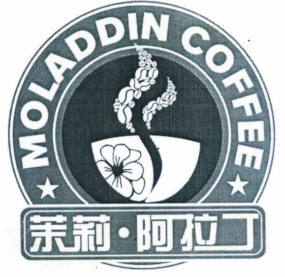 茉莉阿拉丁