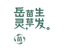 岳灵苗草生发养发馆