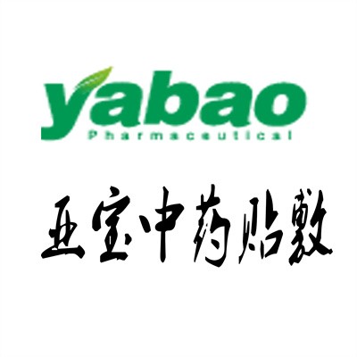 亚宝中药贴