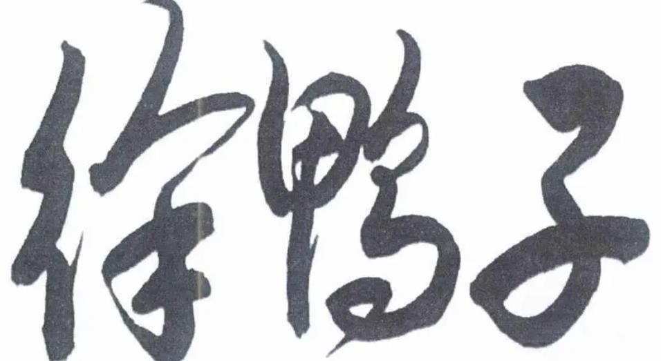 徐鸭子