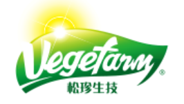 松珍素食