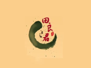 田良君炒货