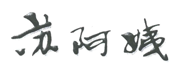 苏阿姨煲仔饭