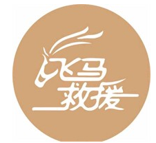 飞马救援