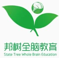 邦树全脑教育