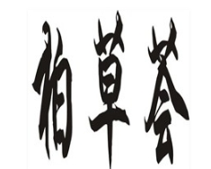 柏草荟生发养发馆
