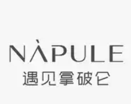 遇见拿破仑