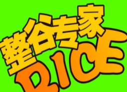 整谷专家盖浇饭