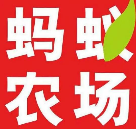 蚂蚁农场