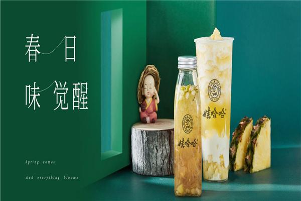 娃哈哈奶茶店加盟电话号码是多少？加盟条件是什么