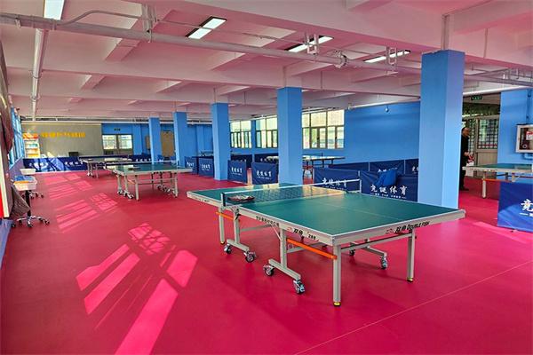旋风乒乓球俱乐部 旋风乒乓球俱乐部