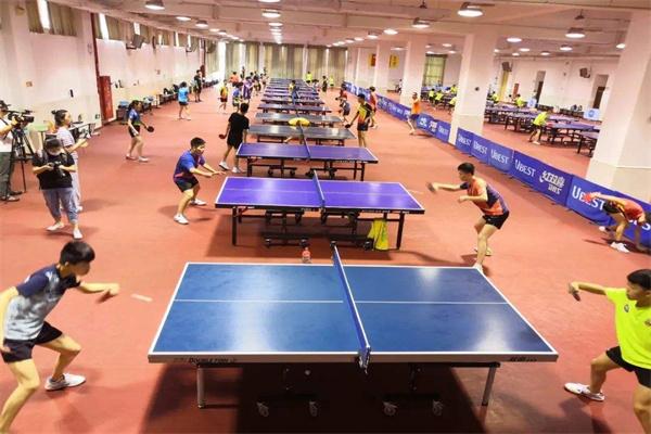 新星乒乓球俱乐部 新星乒乓球俱乐部