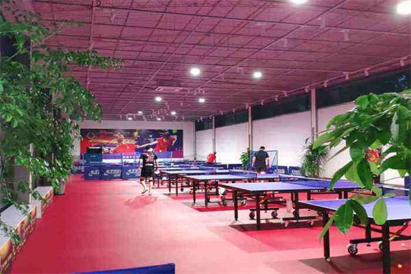 炽峰体育乒乓培训 炽峰体育乒乓培训