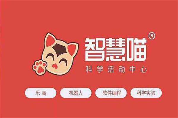 智慧喵少儿机器人