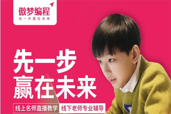 傲梦编程素质教育