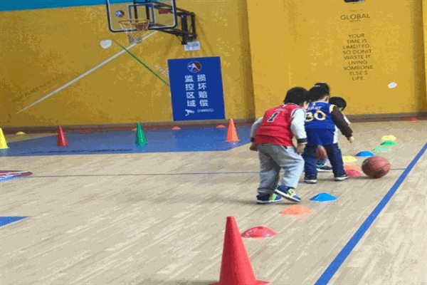 小鹿人篮球学院鹿赛体育