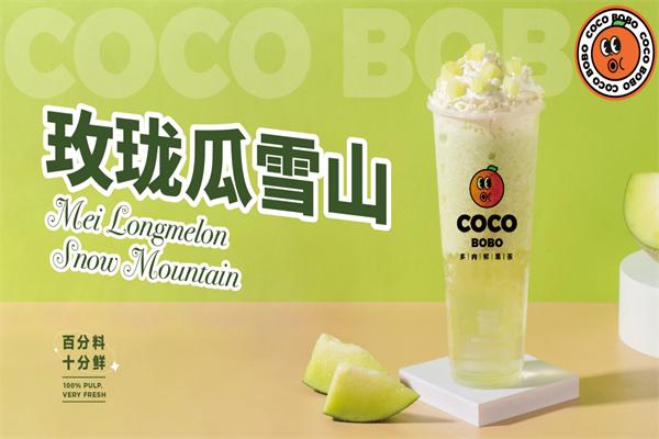 coco bobo多肉鲜果茶