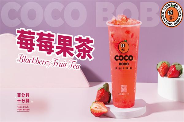 coco bobo多肉鲜果茶