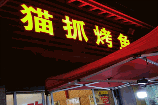 猫抓烤鱼