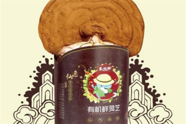 袁坝驿零食