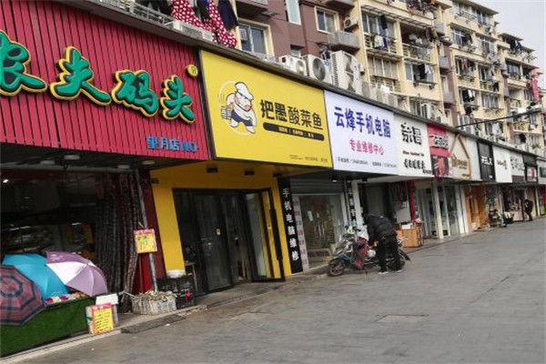 把愚酸菜鱼