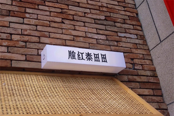 脸红秦田田奶茶