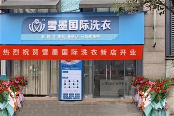 雪墨洗染