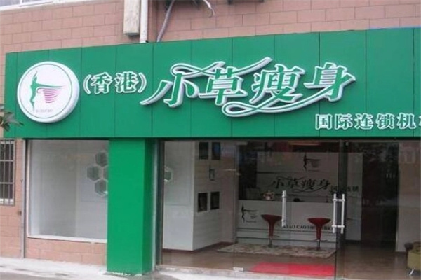 小草瘦身