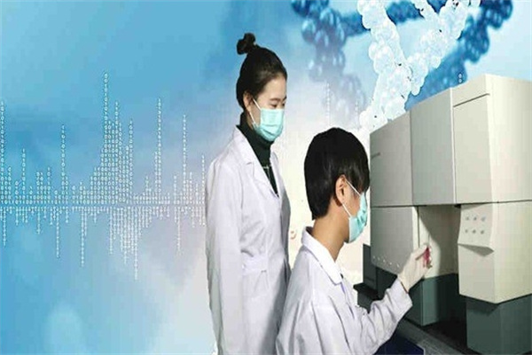 恒峰干细胞美容加盟 恒峰干细胞美容加盟