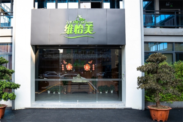 维怡美祛斑