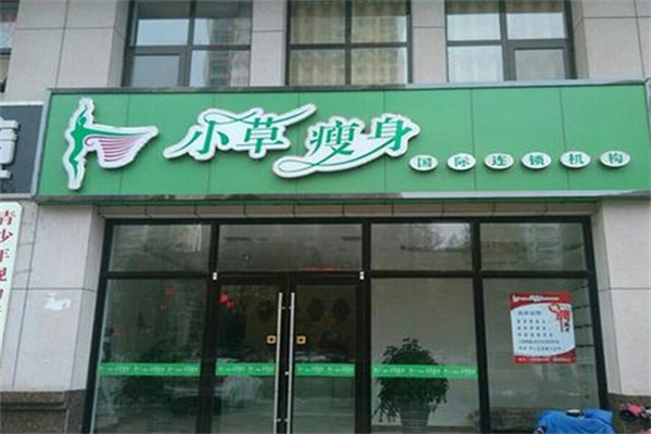 小草瘦身