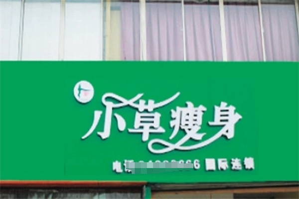 小草瘦身