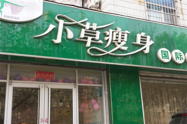小草瘦身
