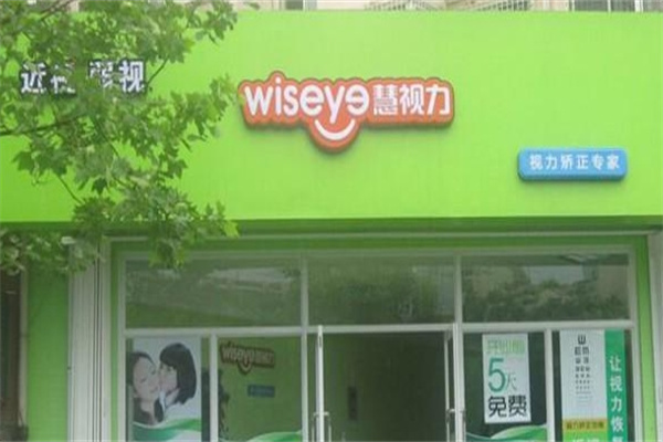 慧视力