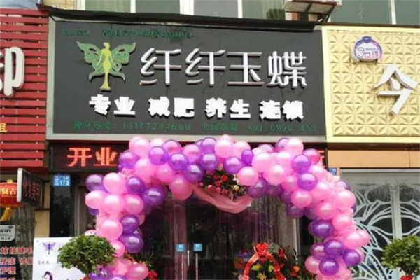 纤纤玉蝶 纤纤玉蝶