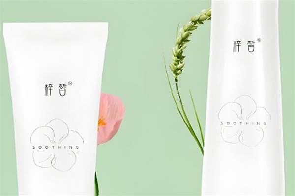 梓皙化妆品