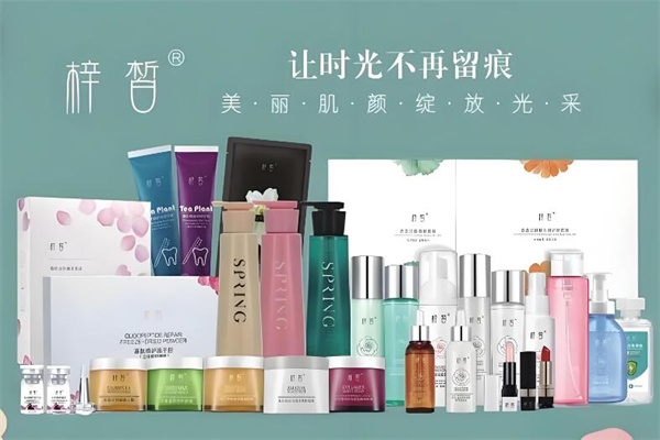 梓皙化妆品