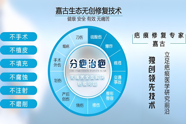 嘉古除疤