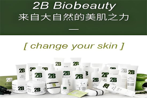 比利时2B