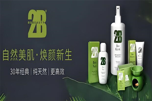 比利时2B