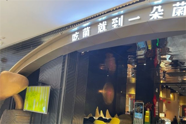一朵菌野生菌火锅