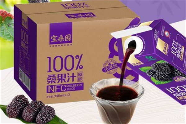 宝桑园桑果汁