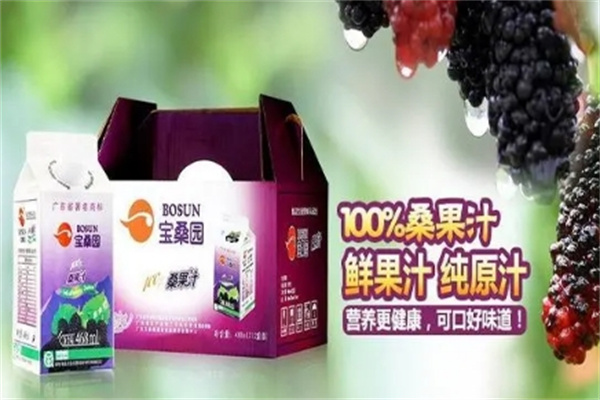 宝桑园桑果汁